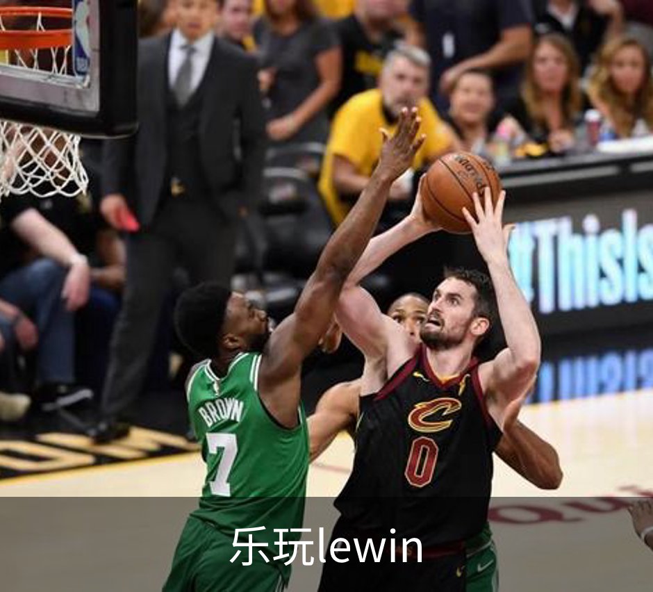 关于乐玩lewin